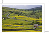 Stone barns and walls in fields by Anonymous