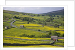 Stone barns and walls in fields by Anonymous