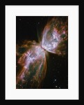 Butterfly shaped Nebula NGC 6302 by Anonymous