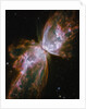 Butterfly shaped Nebula NGC 6302 by Anonymous