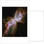 Butterfly shaped Nebula NGC 6302 by Anonymous