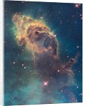 Star birth in Carina Nebula from Hubble's WFC3 detector by Anonymous