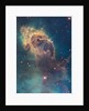 Star birth in Carina Nebula from Hubble's WFC3 detector by Anonymous