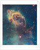 Star birth in Carina Nebula from Hubble's WFC3 detector by Anonymous