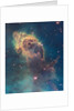 Star birth in Carina Nebula from Hubble's WFC3 detector by Anonymous