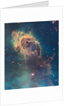 Star birth in Carina Nebula from Hubble's WFC3 detector by Anonymous