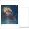 Star birth in Carina Nebula from Hubble's WFC3 detector by Anonymous