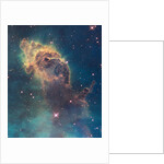 Star birth in Carina Nebula from Hubble's WFC3 detector by Anonymous