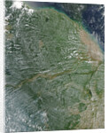 Amazon Rainforest during the dry season by Anonymous