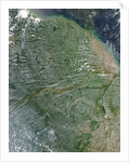 Amazon Rainforest during the dry season by Anonymous