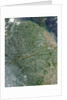 Amazon Rainforest during the dry season by Anonymous