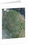 Amazon Rainforest during the dry season by Anonymous