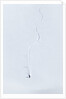 Extreme skier by Anonymous
