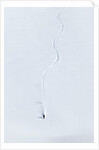 Extreme skier by Anonymous