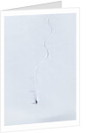 Extreme skier by Anonymous