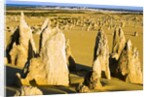 The Pinnacles in Australia by Anonymous