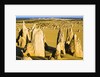 The Pinnacles in Australia by Anonymous