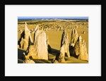 The Pinnacles in Australia by Anonymous