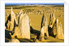 The Pinnacles in Australia by Anonymous