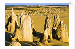 The Pinnacles in Australia by Anonymous