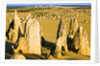 The Pinnacles in Australia by Anonymous