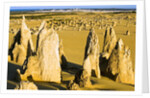 The Pinnacles in Australia by Anonymous