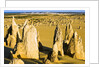 The Pinnacles in Australia by Anonymous