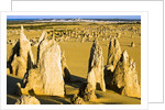 The Pinnacles in Australia by Anonymous