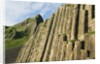 Giant's Causeway by Anonymous