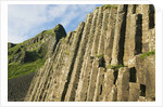Giant's Causeway by Anonymous