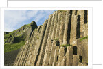 Giant's Causeway by Anonymous