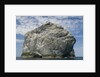 Northern gannet nesting colony atop Stac Lee by Anonymous