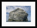 Northern gannet nesting colony atop Stac Lee by Anonymous