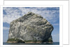 Northern gannet nesting colony atop Stac Lee by Anonymous
