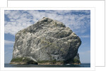 Northern gannet nesting colony atop Stac Lee by Anonymous