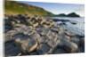 Giant's Causeway by Anonymous