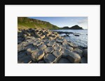 Giant's Causeway by Anonymous