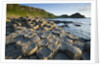 Giant's Causeway by Anonymous