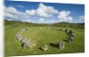 Beaghmore Stone Circle Complex by Anonymous