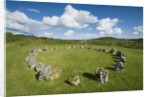 Beaghmore Stone Circle Complex by Anonymous