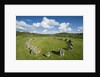 Beaghmore Stone Circle Complex by Anonymous