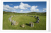 Beaghmore Stone Circle Complex by Anonymous