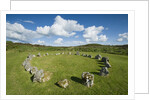 Beaghmore Stone Circle Complex by Anonymous