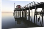 Fishing pier at low tide in a calm bay by Anonymous