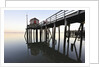 Fishing pier at low tide in a calm bay by Anonymous