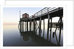 Fishing pier at low tide in a calm bay by Anonymous