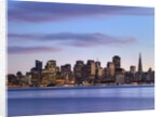 San Francisco skyline seen from Yerba Buena Island by Anonymous