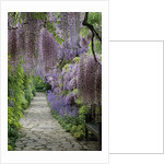 Spring garden by Anonymous