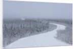 Dempster Highway in snow storm by Anonymous