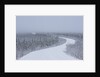 Dempster Highway in snow storm by Anonymous